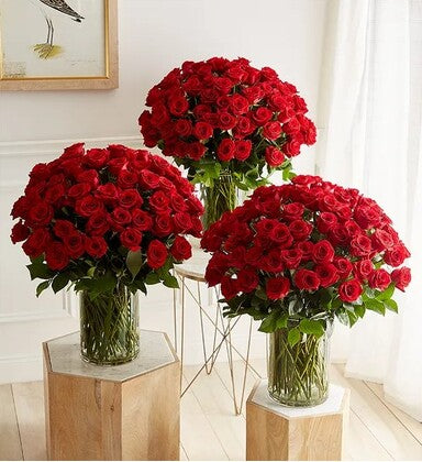 300 Red Premium Roses