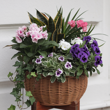 Blooming Harmony Plant Basket