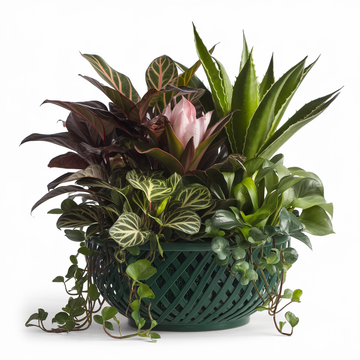 Verdant Harmony Plant Basket