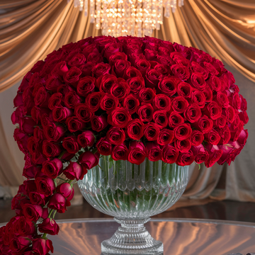 Grand Embrace 300 Red Rose Bouquet