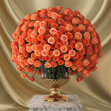 Fiery Sunset 300 Rose Display