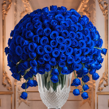 Celestial Blue 250 Rose Arrangement